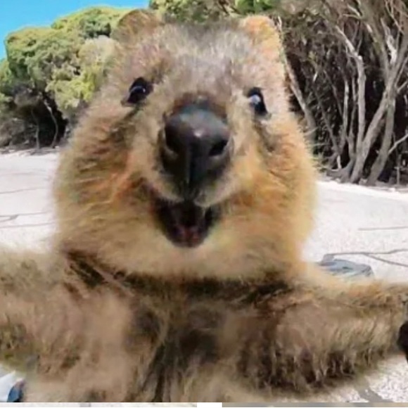 Meet your Posher, Kim - Picture 1 of 1